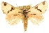  ( - CCDB-15823-E09)  @11 [ ] CreativeCommons - Attribution (2011) ANIC/CBG Photography Group Centre for Biodiversity Genomics