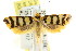  ( - CCDB-15827-D04)  @11 [ ] CreativeCommons - Attribution (2011) ANIC/CBG Photography Group Centre for Biodiversity Genomics