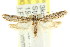 ( - CCDB-15827-G05)  @11 [ ] CreativeCommons - Attribution (2011) ANIC/CBG Photography Group Centre for Biodiversity Genomics