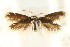  ( - CCDB-15829-A05)  @11 [ ] CreativeCommons - Attribution (2011) ANIC/CBG Photography Group Centre for Biodiversity Genomics