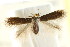  ( - CCDB-15829-D10)  @11 [ ] CreativeCommons - Attribution (2011) ANIC/CBG Photography Group Centre for Biodiversity Genomics