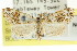  ( - CCDB-15831-E09)  @11 [ ] CreativeCommons - Attribution (2011) ANIC/CBG Photography Group Centre for Biodiversity Genomics