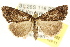  ( - CCDB-15831-G02)  @14 [ ] CreativeCommons - Attribution (2011) ANIC/CBG Photography Group Centre for Biodiversity Genomics