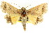  ( - CCDB-15836-G09)  @14 [ ] CreativeCommons - Attribution (2011) ANIC/CBG Photography Group Centre for Biodiversity Genomics