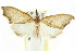 ( - CCDB-15839-B12)  @11 [ ] CreativeCommons - Attribution (2011) ANIC/CBG Photography Group Centre for Biodiversity Genomics