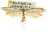  ( - CCDB-15840-E02)  @12 [ ] CreativeCommons - Attribution (2011) ANIC/CBG Photography Group Centre for Biodiversity Genomics