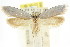  ( - CCDB-15840-F01)  @11 [ ] CreativeCommons - Attribution (2011) ANIC/CBG Photography Group Centre for Biodiversity Genomics