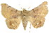  ( - CCDB-15842-A08)  @14 [ ] CreativeCommons - Attribution (2011) ANIC/CBG Photography Group Centre for Biodiversity Genomics