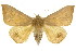  ( - CCDB-15842-B03)  @15 [ ] CreativeCommons - Attribution (2011) ANIC/CBG Photography Group Centre for Biodiversity Genomics