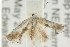  ( - CCDB-15843-E10)  @12 [ ] CreativeCommons - Attribution (2011) ANIC/CBG Photography Group Centre for Biodiversity Genomics