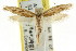 ( - CCDB-15844-H01)  @13 [ ] CreativeCommons - Attribution (2011) ANIC/CBG Photography Group Centre for Biodiversity Genomics