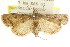  ( - CCDB-15849-H09)  @11 [ ] CreativeCommons - Attribution (2011) ANIC/CBG Photography Group Centre for Biodiversity Genomics