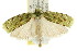  ( - CCDB-15852-B05)  @11 [ ] CreativeCommons - Attribution (2011) ANIC/CBG Photography Group Centre for Biodiversity Genomics