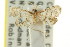  ( - CCDB-15855-G02)  @11 [ ] CreativeCommons - Attribution (2011) ANIC/CBG Photography Group Centre for Biodiversity Genomics