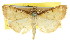  ( - CCDB-15859-A09)  @11 [ ] CreativeCommons - Attribution (2011) ANIC/CBG Photography Group Centre for Biodiversity Genomics