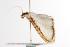  ( - ANIC Gen No. 000965)  @12 [ ] Copyright (2010) Unspecified Australia National Insect Collection