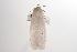 ( - ANIC Gen No. 001199)  @13 [ ] Copyright (2010) Unspecified Australia National Insect Collection