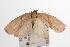  ( - ANIC Gen No. 001547)  @13 [ ] Copyright (2010) Unspecified Australia National Insect Collection