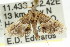  ( - ANIC Gen No. 003704)  @11 [ ] CreativeCommons - Attribution (2011) ANIC/CBG Photography Group Centre for Biodiversity Genomics