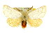  ( - 10ANIC-00044)  @14 [ ] CreativeCommons - Attribution (2010) CBG Photography Group Centre for Biodiversity Genomics