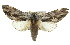  ( - 10ANIC-00212)  @14 [ ] CreativeCommons - Attribution (2010) CBG Photography Group Centre for Biodiversity Genomics