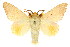  ( - 10ANIC-00376)  @12 [ ] CreativeCommons - Attribution (2010) CBG Photography Group Centre for Biodiversity Genomics