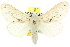  ( - 10ANIC-00400)  @12 [ ] CreativeCommons - Attribution (2010) CBG Photography Group Centre for Biodiversity Genomics