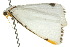  ( - 10ANIC-00621)  @13 [ ] CreativeCommons - Attribution (2010) CBG Photography Group Centre for Biodiversity Genomics