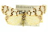  ( - 10ANIC-00908)  @11 [ ] CreativeCommons - Attribution (2010) CBG Photography Group Centre for Biodiversity Genomics