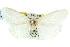  ( - 10ANIC-01348)  @13 [ ] CreativeCommons - Attribution (2010) CBG Photography Group Centre for Biodiversity Genomics