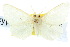  ( - 10ANIC-01359)  @11 [ ] CreativeCommons - Attribution (2010) CBG Photography Group Centre for Biodiversity Genomics