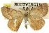  ( - 10ANIC-01391)  @11 [ ] CreativeCommons - Attribution (2010) CBG Photography Group Centre for Biodiversity Genomics