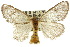  ( - 10ANIC-01401)  @13 [ ] CreativeCommons - Attribution (2010) CBG Photography Group Centre for Biodiversity Genomics