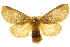  ( - 10ANIC-01408)  @15 [ ] CreativeCommons - Attribution (2010) CBG Photography Group Centre for Biodiversity Genomics
