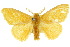  ( - 10ANIC-01416)  @14 [ ] CreativeCommons - Attribution (2010) CBG Photography Group Centre for Biodiversity Genomics