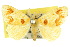  ( - 10ANIC-01434)  @11 [ ] CreativeCommons - Attribution (2010) CBG Photography Group Centre for Biodiversity Genomics