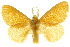  ( - 10ANIC-01457)  @11 [ ] CreativeCommons - Attribution (2010) CBG Photography Group Centre for Biodiversity Genomics