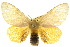  ( - 10ANIC-01462)  @14 [ ] CreativeCommons - Attribution (2010) CBG Photography Group Centre for Biodiversity Genomics
