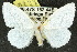  ( - 10ANIC-01511)  @14 [ ] CreativeCommons - Attribution (2010) CBG Photography Group Centre for Biodiversity Genomics