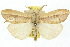  ( - 10ANIC-01557)  @14 [ ] CreativeCommons - Attribution (2010) CBG Photography Group Centre for Biodiversity Genomics