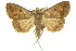  ( - 10ANIC-01616)  @14 [ ] CreativeCommons - Attribution (2010) CBG Photography Group Centre for Biodiversity Genomics