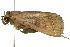  ( - 10ANIC-01617)  @13 [ ] CreativeCommons - Attribution (2010) CBG Photography Group Centre for Biodiversity Genomics
