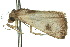  ( - 10ANIC-01659)  @13 [ ] CreativeCommons - Attribution (2010) CBG Photography Group Centre for Biodiversity Genomics