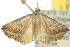  ( - 10ANIC-01686)  @12 [ ] CreativeCommons - Attribution (2010) CBG Photography Group Centre for Biodiversity Genomics