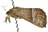  ( - 10ANIC-01697)  @13 [ ] CreativeCommons - Attribution (2010) CBG Photography Group Centre for Biodiversity Genomics