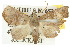  ( - 10ANIC-01762)  @14 [ ] CreativeCommons - Attribution (2010) CBG Photography Group Centre for Biodiversity Genomics