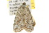  ( - 10ANIC-01941)  @13 [ ] CreativeCommons - Attribution (2010) CBG Photography Group Centre for Biodiversity Genomics