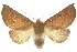  ( - 10ANIC-01963)  @15 [ ] CreativeCommons - Attribution (2010) CBG Photography Group Centre for Biodiversity Genomics