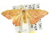  ( - 10ANIC-01984)  @14 [ ] CreativeCommons - Attribution (2010) CBG Photography Group Centre for Biodiversity Genomics