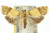  ( - 10ANIC-02015)  @14 [ ] CreativeCommons - Attribution (2010) CBG Photography Group Centre for Biodiversity Genomics
